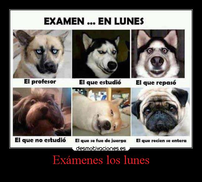 Exámenes los lunes -