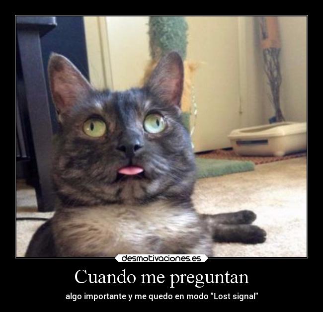 Cuando me preguntan - algo importante y me quedo en modo Lost signal