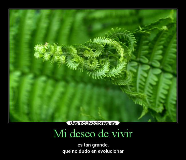 Mi deseo de vivir -