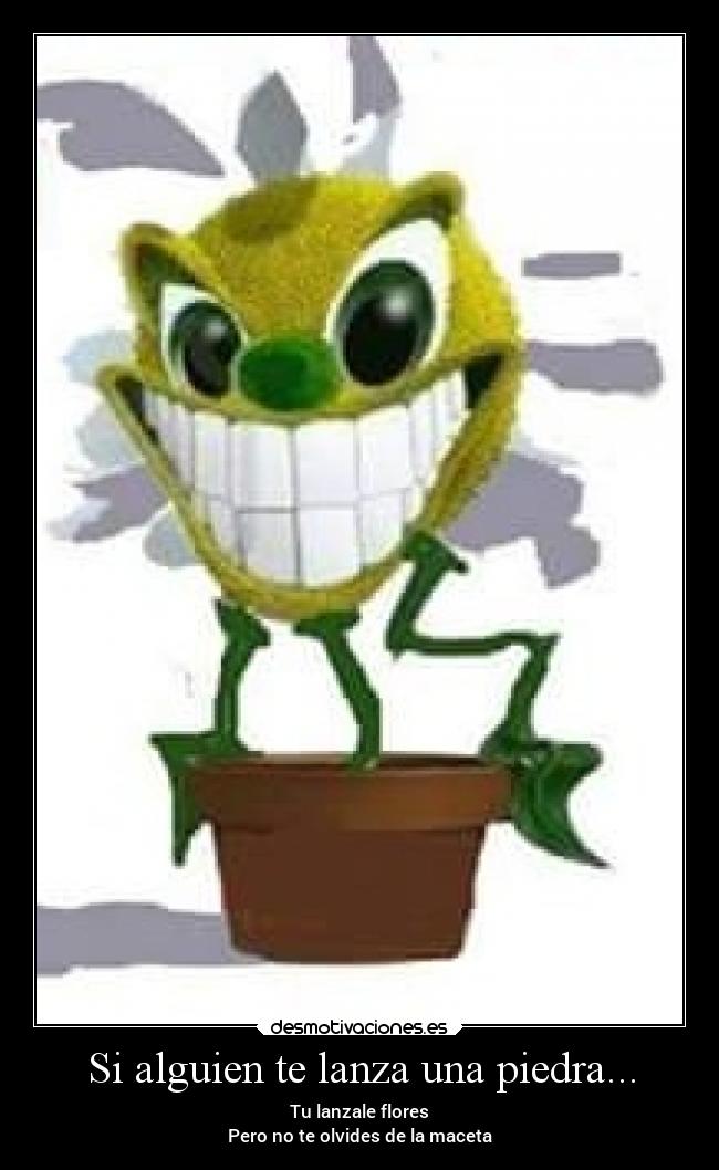 Si alguien te lanza una piedra... - Tu lanzale flores
Pero no te olvides de la maceta
