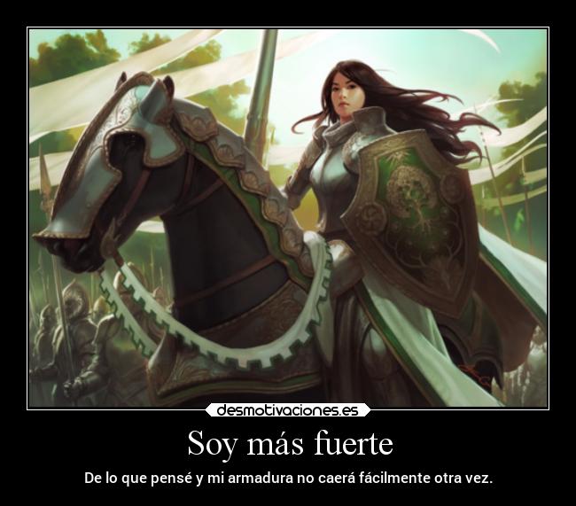 carteles frases fuerza armadura desmotivaciones