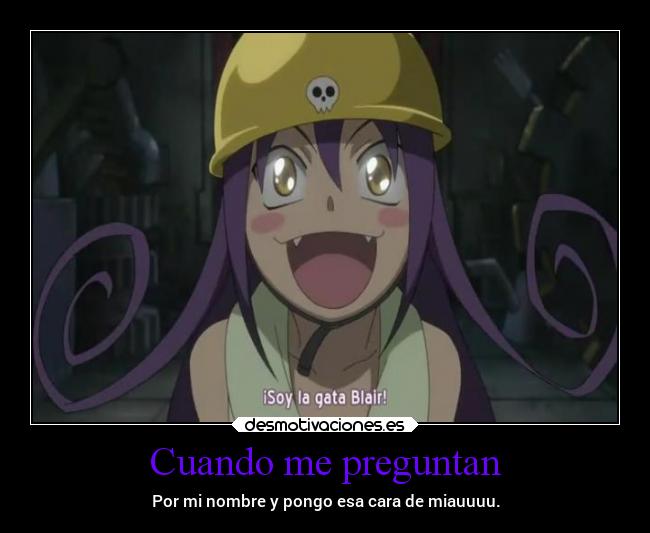 carteles gatos anime x3333 desmotivaciones