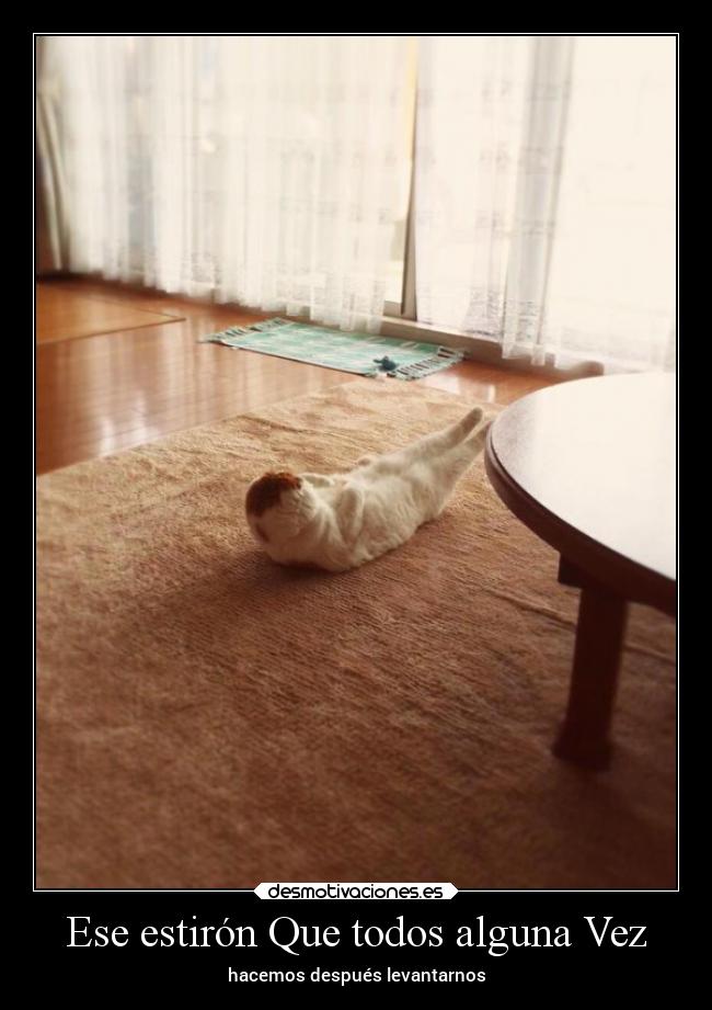 Ese estirón Que todos alguna Vez -