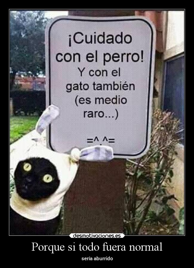 Porque si todo fuera normal - 