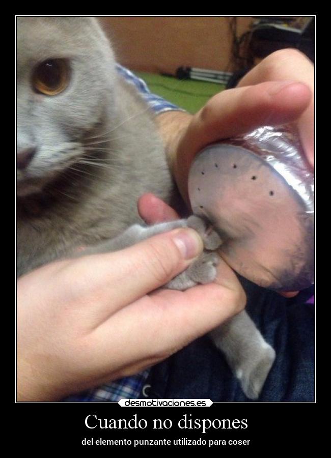 Cuando no dispones - del elemento punzante utilizado para coser