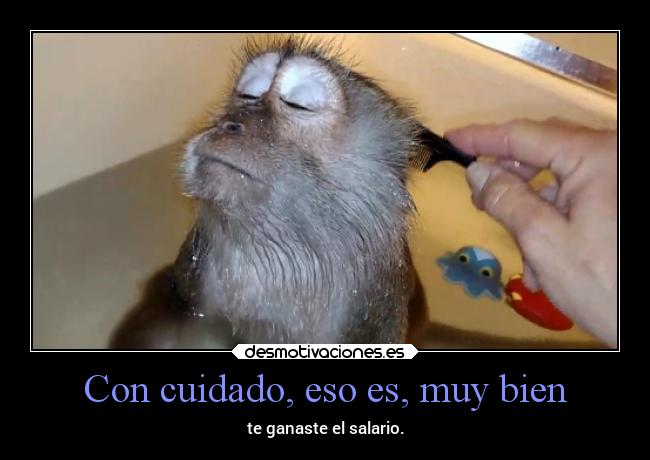 Con cuidado, eso es, muy bien - te ganaste el salario.