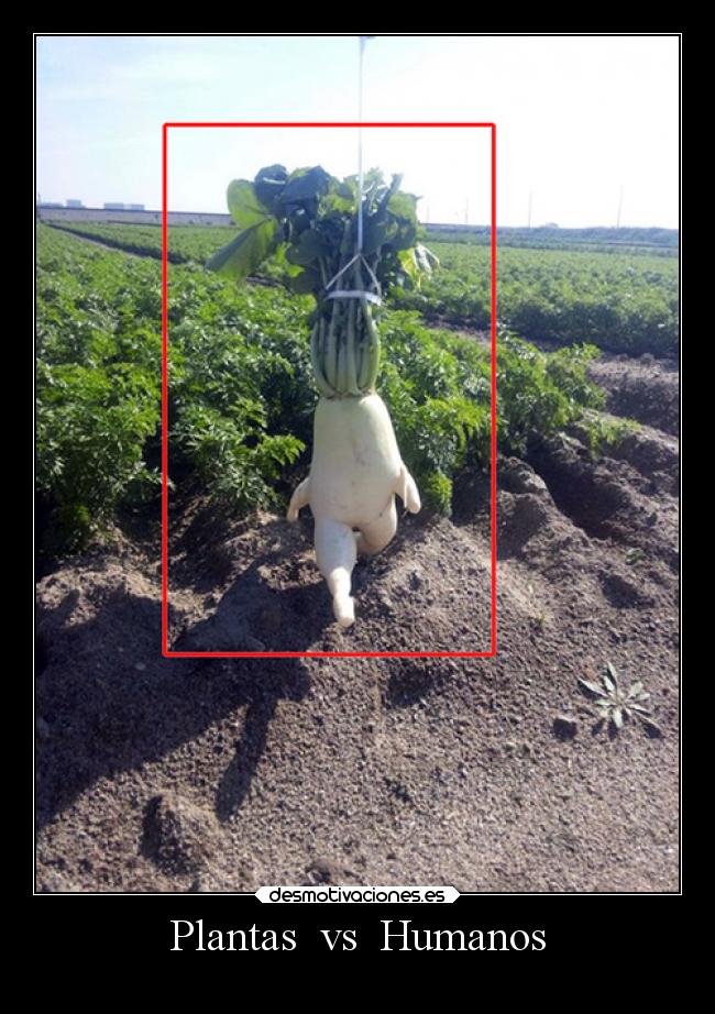 Plantas vs Humanos -
