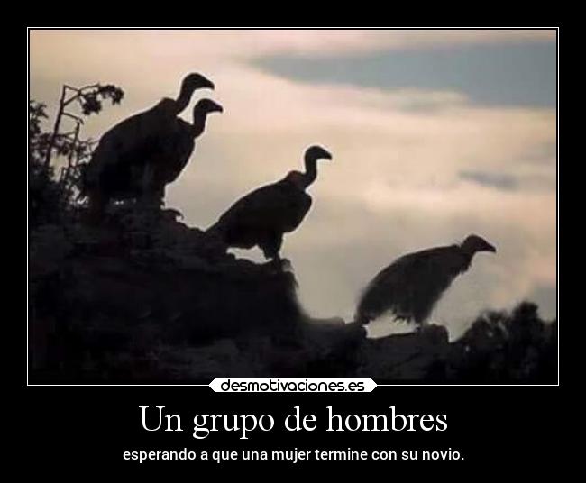 carteles humor desmotivaciones