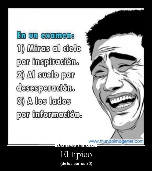 El tipico -