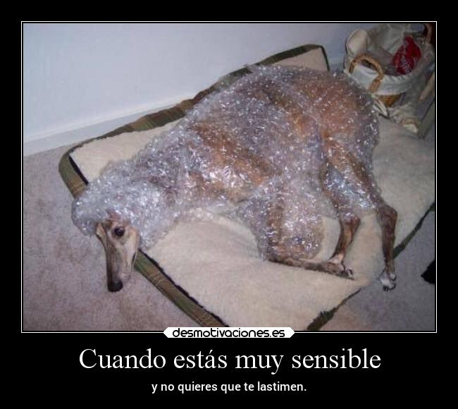 Cuando estás muy sensible -