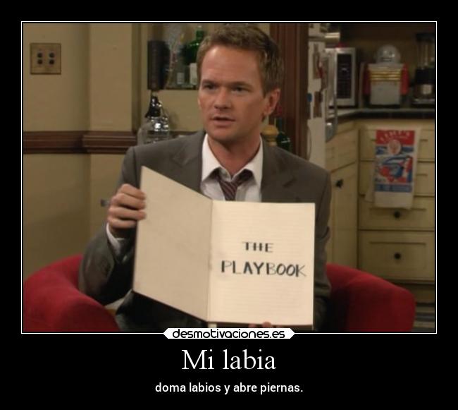 carteles humor frases ligar himym ccvm barneystinson playbook manualdejuego elpatodelapiovendehierba desmotivaciones