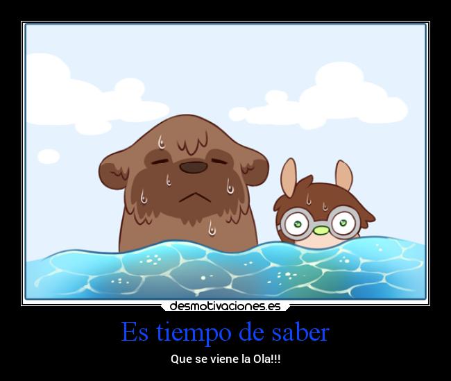 Es tiempo de saber - Que se viene la Ola!!!