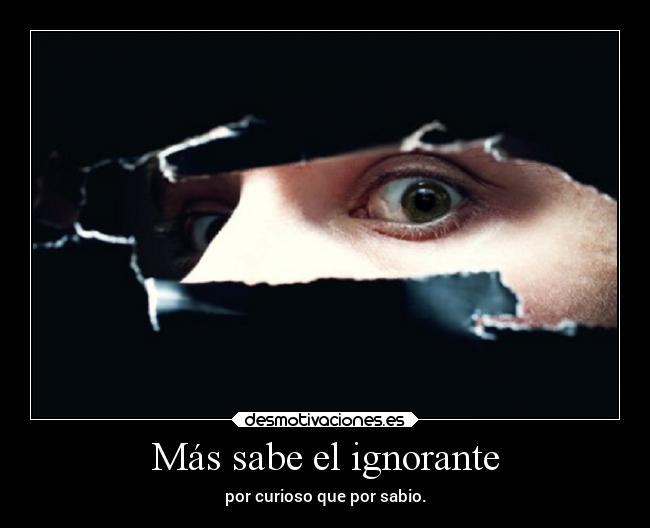 carteles ignorancia curiosidad sabiduria desmotivaciones