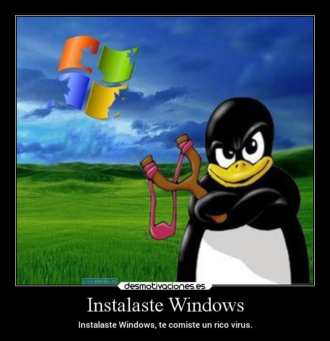 Instalaste Windows -