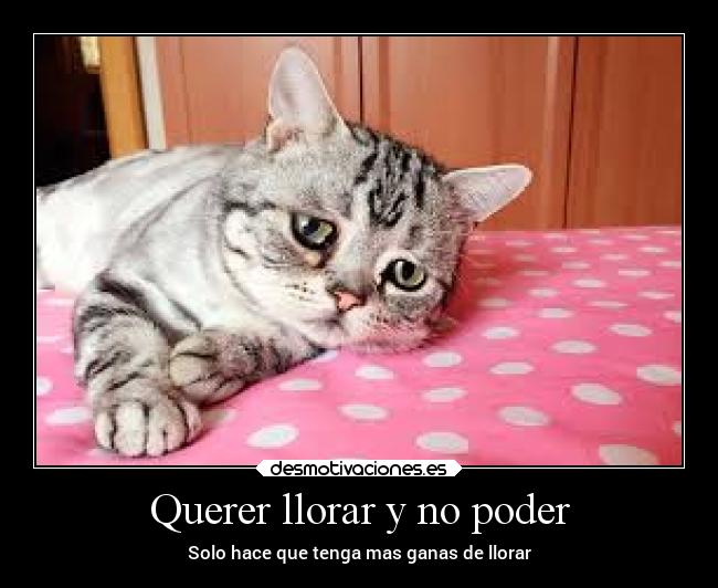 Querer llorar y no poder - Solo hace que tenga mas ganas de llorar