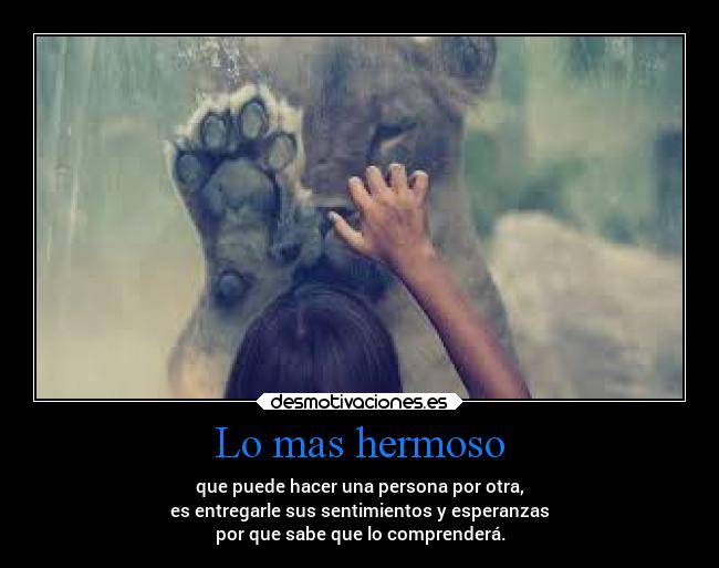 Lo mas hermoso - que puede hacer una persona por otra,
es entregarle sus sentimientos y esperanzas
por que sabe que lo comprenderá.