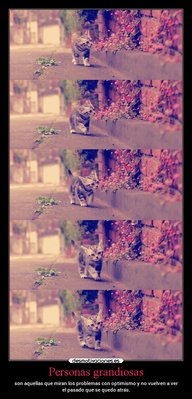 Personas grandiosas - son aquellas que miran los problemas con optimismo y no vuelven a ver
el pasado que se quedo atrás.