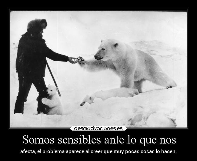 Somos sensibles ante lo que nos - afecta, el problema aparece al creer que muy pocas cosas lo hacen.