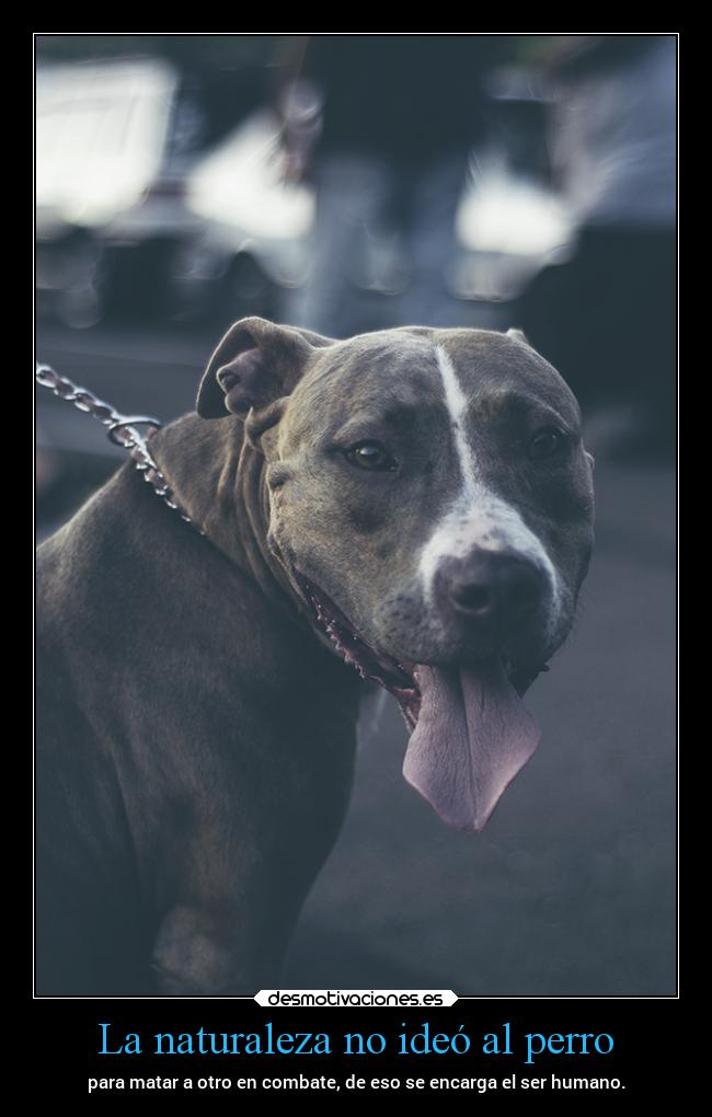 La naturaleza no ideó al perro -