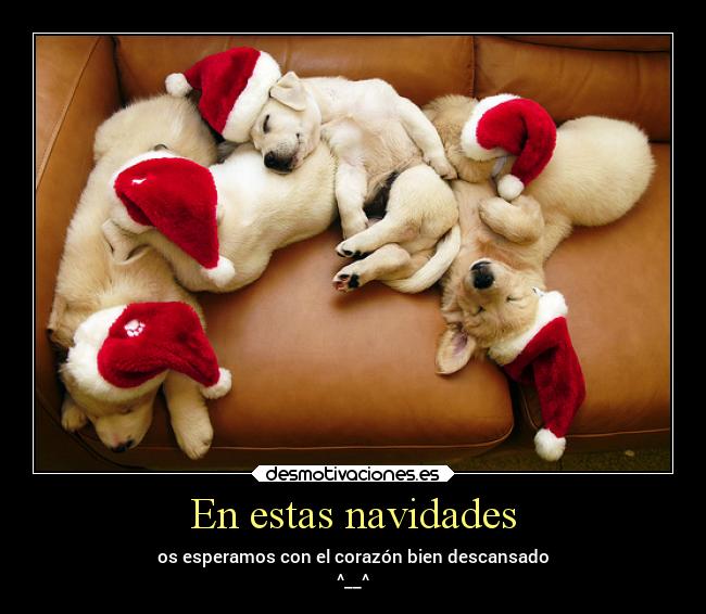 En estas navidades - os esperamos con el corazón bien descansado
^__^