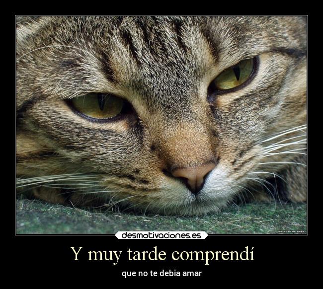 Y muy tarde comprendí -
