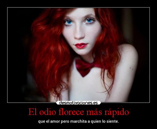 El odio florece más rápido -