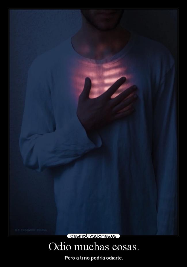 Odio muchas cosas. -