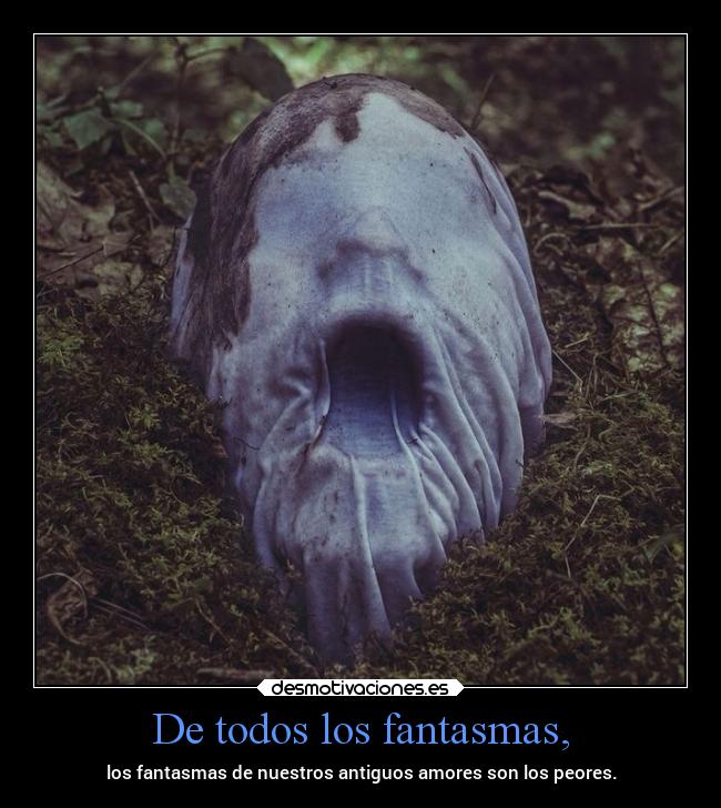 De todos los fantasmas, - los fantasmas de nuestros antiguos amores son los peores.