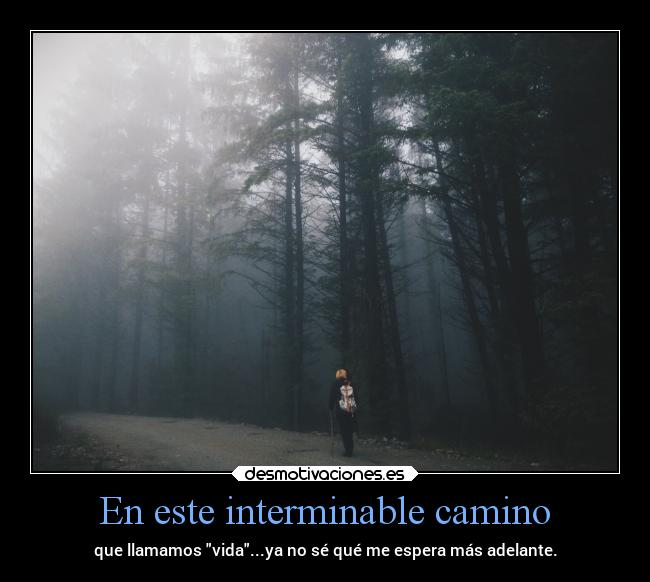 carteles pensamientos silencio vida desmotivaciones