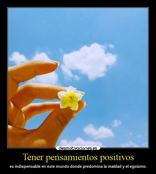 carteles pensamientos tristeza vida pensamientos sentimientos desmotivaciones desmotivaciones