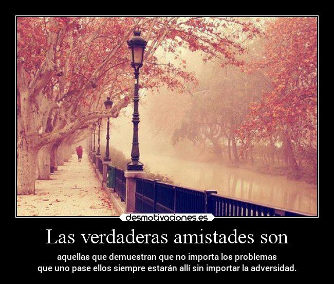 Las verdaderas amistades son - aquellas que demuestran que no importa los problemas
que uno pase ellos siempre estarán allí sin importar la adversidad.