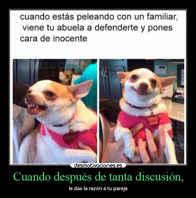 Cuando después de tanta discusión, -