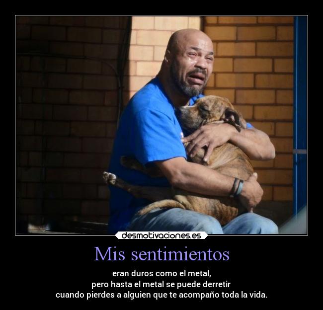 Mis sentimientos -
