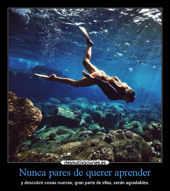 Nunca pares de querer aprender - 