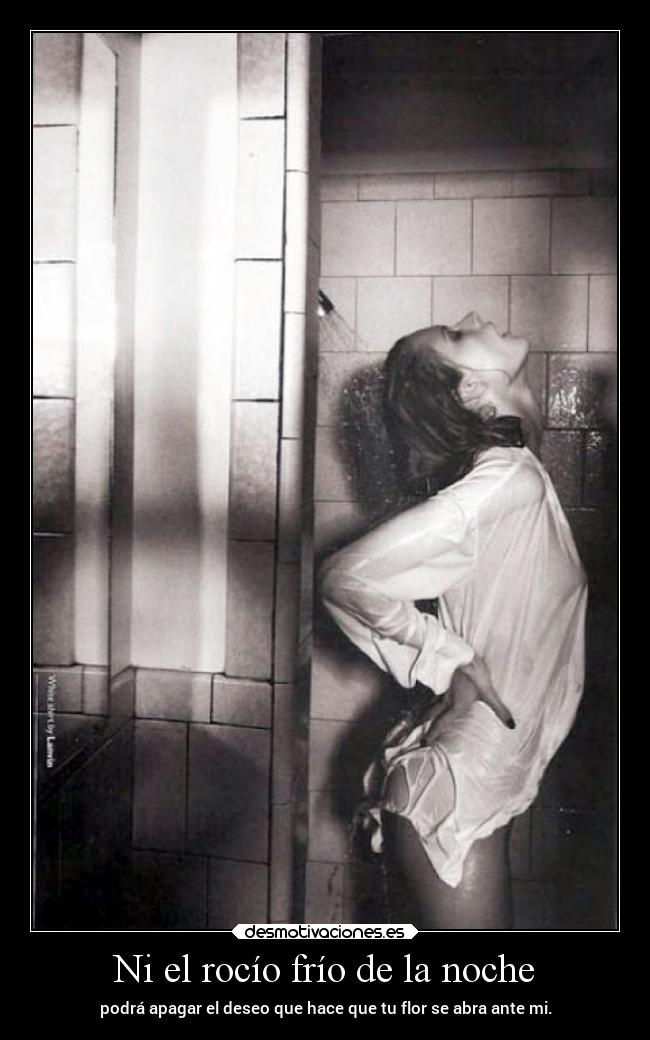 carteles sexo elchicodeayer desmotivaciones