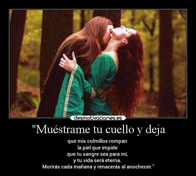 carteles sexo elchicodeayer magodeoz aquelarre desmotivaciones