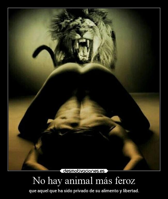 carteles sexo elchicodeayer sexoperverso desmotivaciones