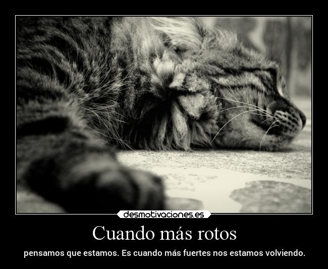 Cuando más rotos - pensamos que estamos. Es cuando más fuertes nos estamos volviendo.