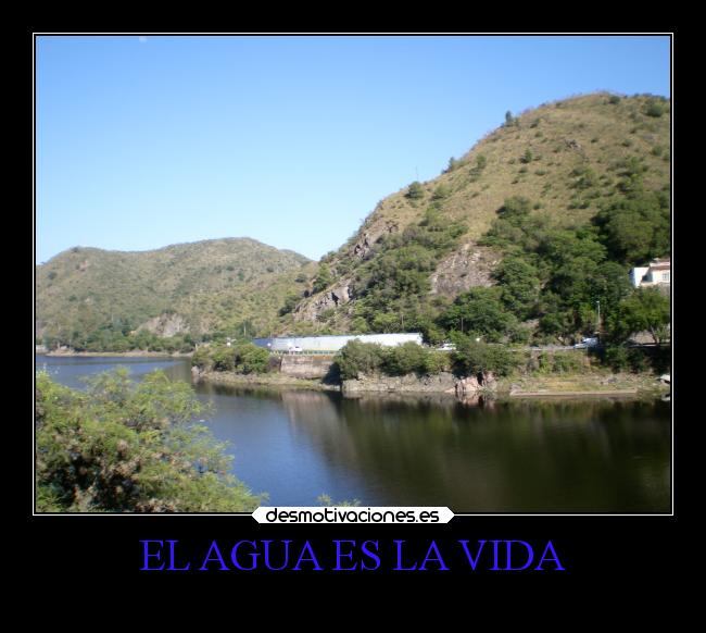 EL AGUA ES LA VIDA - 