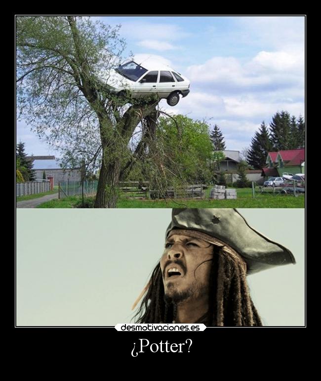 ¿Potter? - 