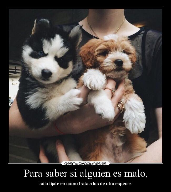 Para saber si alguien es malo, - 