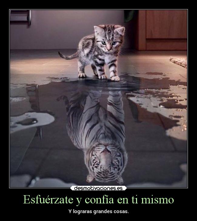 Esfuérzate y confía en ti mismo -