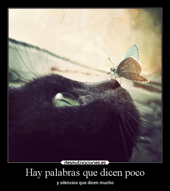 Hay palabras que dicen poco -