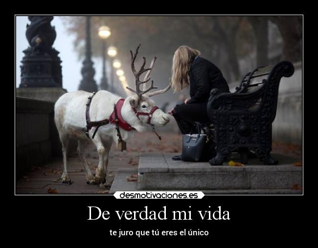 De verdad mi vida - te juro que tú eres el único