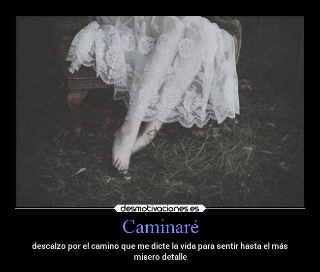 Caminaré - 