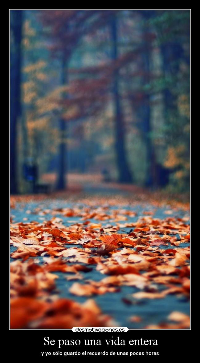 Se paso una vida entera - y yo sólo guardo el recuerdo de unas pocas horas