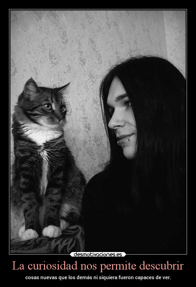 La curiosidad nos permite descubrir -