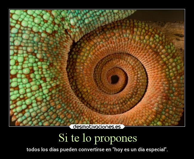 carteles vida dias colores cada dia color proponerse pensamientosporlastardesquevoyapuntandoparatransformarlo desmotivaciones