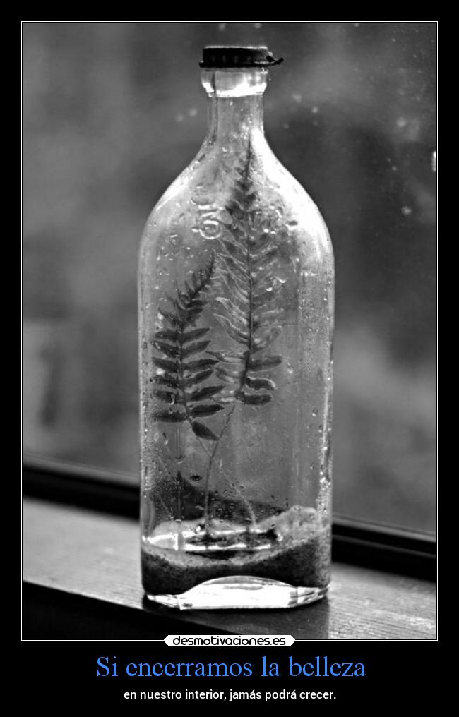 Si encerramos la belleza - 