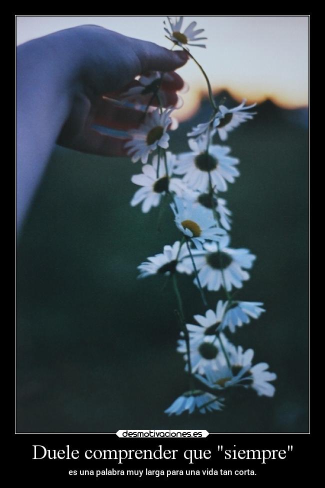 Duele comprender que siempre -